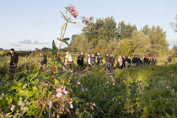 Homo Novus 2013