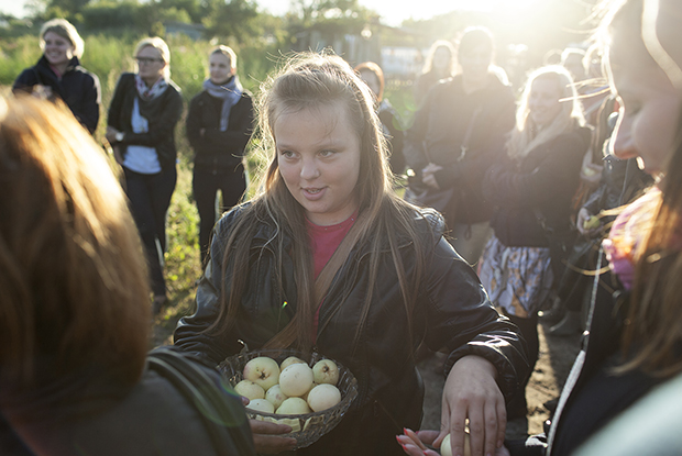 Homo Novus 2013